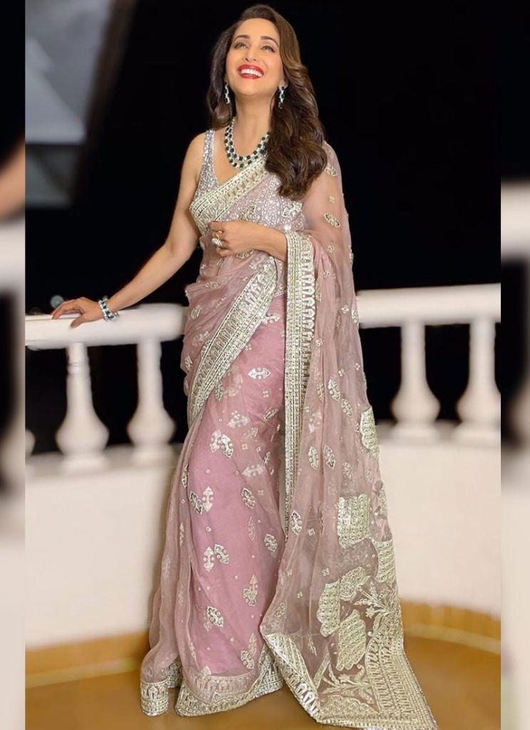 Bollywood Net Saree