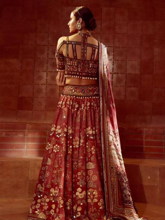 Cage-pattern Lehenga Blouse Designs for Back