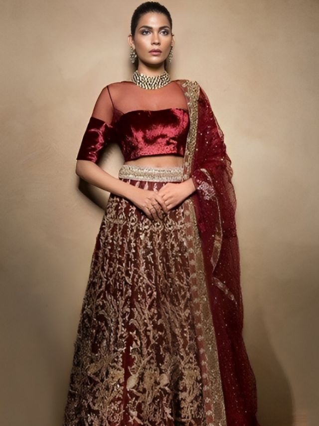 Velvet and Net Blend Lehenga Blouse