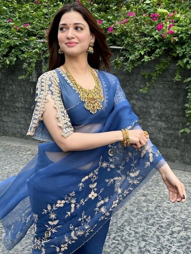 Tamanna Bhatia’s Split Sleeve Blouse