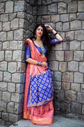 Banasari Soft Silk Saree