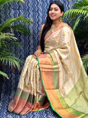 Cream Clocked Astounding Saree Collection