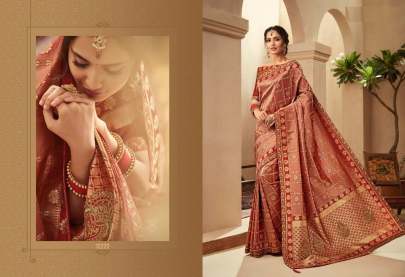 Indian Women s Designer Banarasi Silk Saree Catalogs