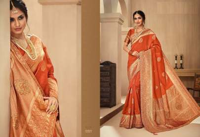 Indian Women s Designer Banarasi Silk Saree Catalogs