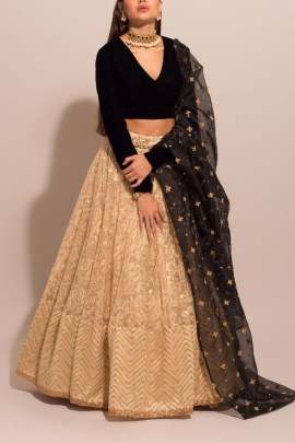 NET LEHENGA CHOLI WITH EMBROIDERED WORK 