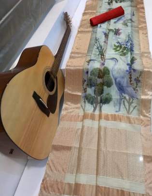 Organza Saree With Zari Wooven Pallu Contrast Golden Pista Colour