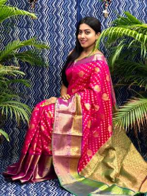 Pink Clocked Astounding Saree Collection