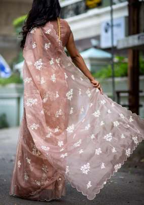 ROYAL FANCY ORGANZA IN LIGHT BROWN SAREE