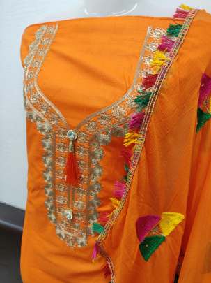 Renu Designer Heavy Embroidery and Diamond