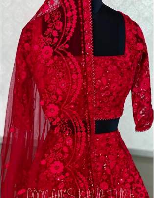 TISHU NET WITH HEVVY EMRODERY WORK