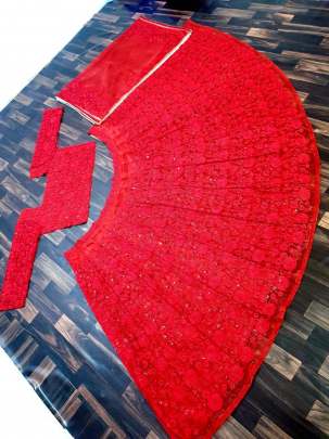 TISHU NET WITH HEVVY EMRODERY WORK