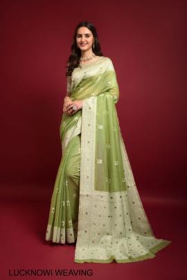 Light green Saree Catalog Pure Lucknowi Chikankari Weaving Catalog