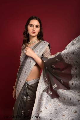 Light grey Saree Catalog Pure Lucknowi Chikankari Weaving Catalog