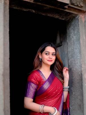 Light on the body  elegant in style  A crepe stripe weaving saree made for everyday comfort