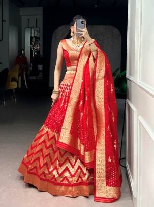 Make every occasion grand with the richness of Banarasi silk, A perfect pick for weddings, festive celebrations, and special moments LNB2059RED