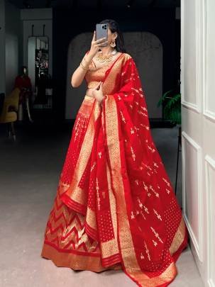 Make every occasion grand with the richness of Banarasi silk, A perfect pick for weddings, festive celebrations, and special moments LNB2059RED