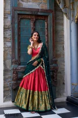 Red lehenga choli LNB2023RED