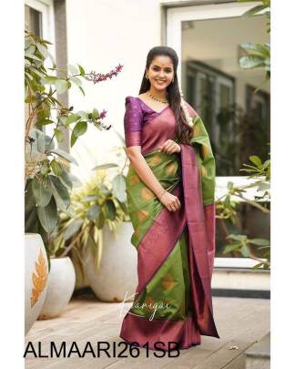 Stunning Sky Blue Colour Saree With Purple Border & Heavy Brocade Blouse