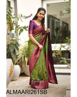 Stunning Sky Blue Colour Saree With Purple Border & Heavy Brocade Blouse
